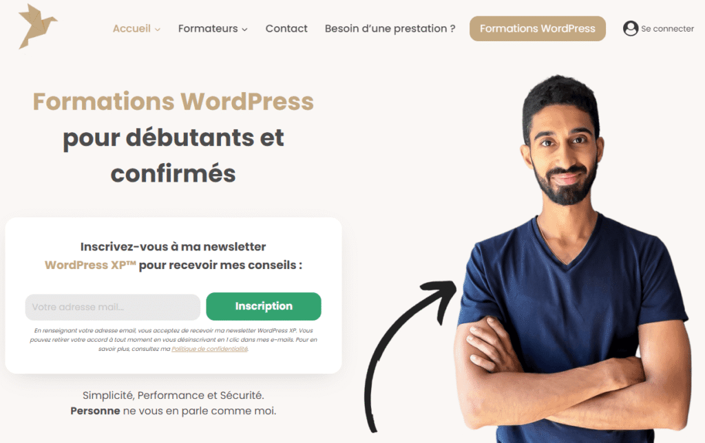 copie d'écran de la page d'accueil : WP Origami